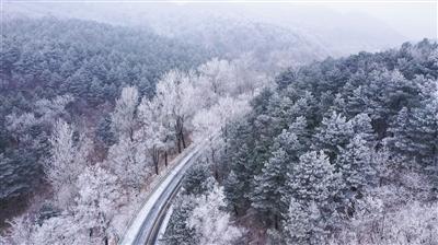 87岁“一灯大师”刘兆铭近照，因亡妻息影五年，今宝刀不老想战斗